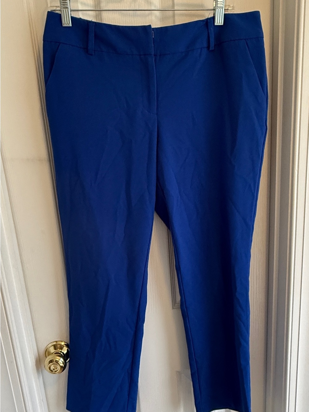 New York & Co Classic Straight-Leg Women's Pants in Cobalt Blue